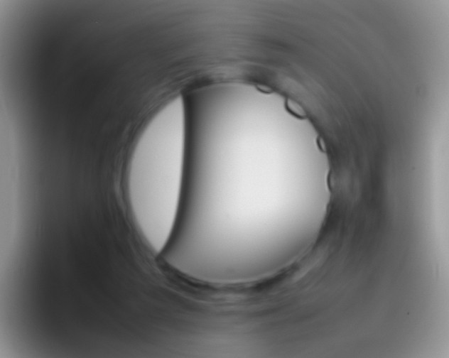X0000097000209200802081035