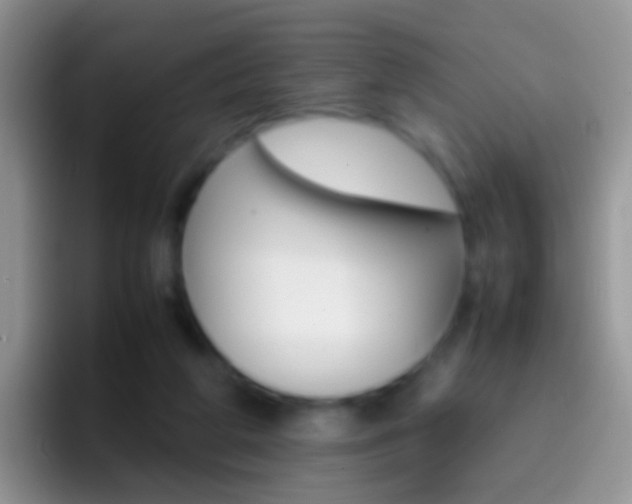 X0000097000210200802081035