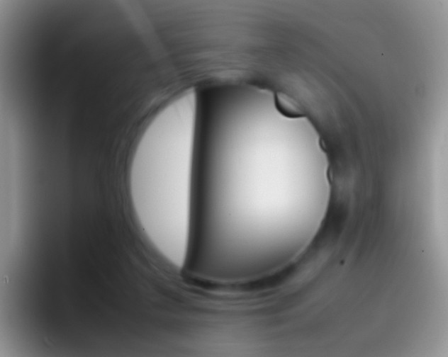X0000097000211200802081035