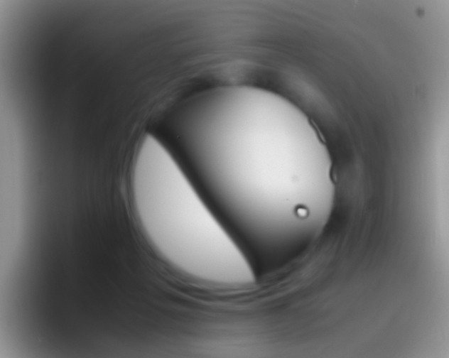 X0000097000217200802081034