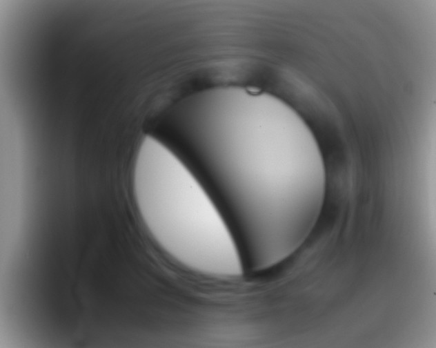 X0000097000227200802081034