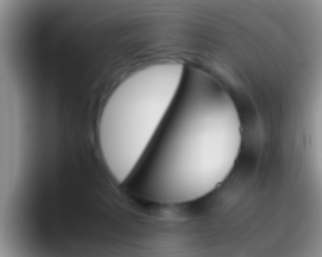 X0000097000229200802081034