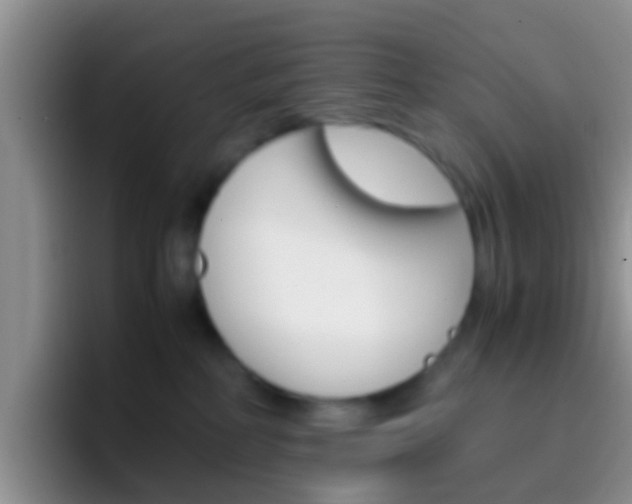 X0000097000234200802081034