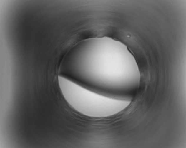 X0000097000237200802081034