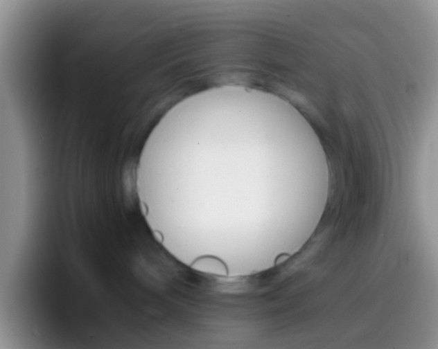 X0000097000240200802081034