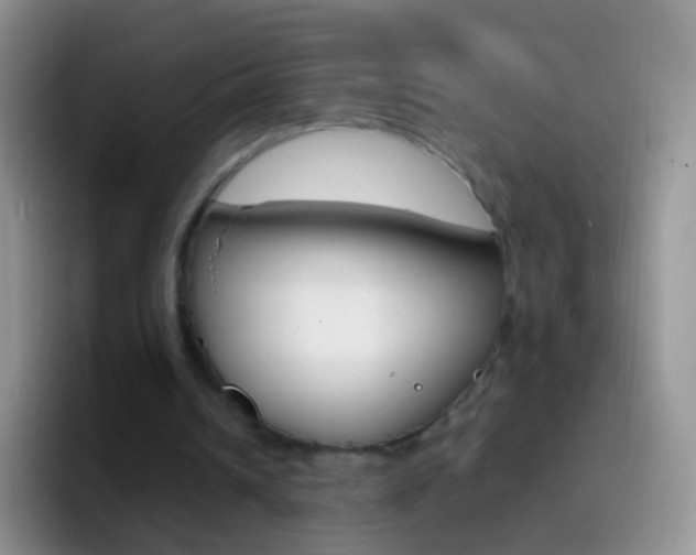 X0000097000242200802081034