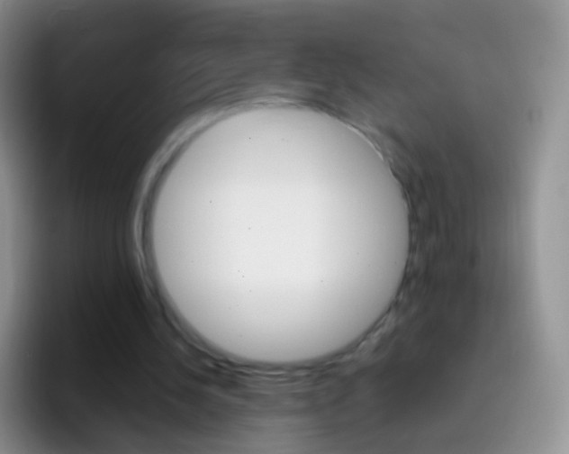 X0000097000244200802081034