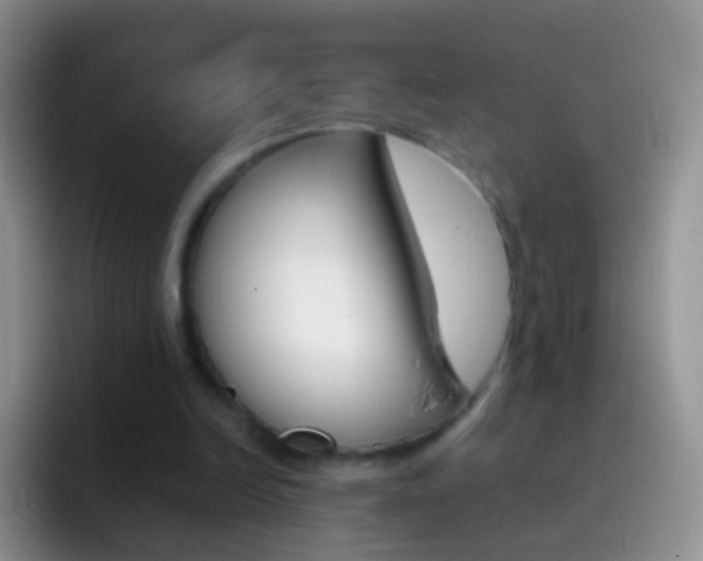 X0000097000246200802081034