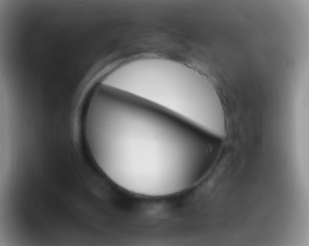 X0000097000247200802081034