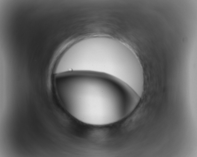 X0000097000248200802081034
