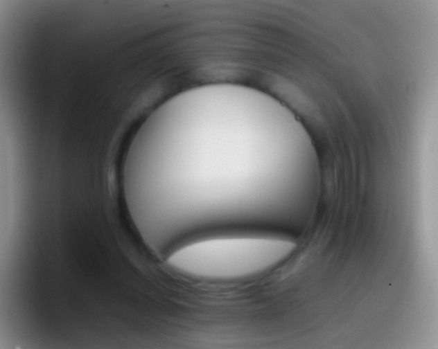X0000097000254200802081034