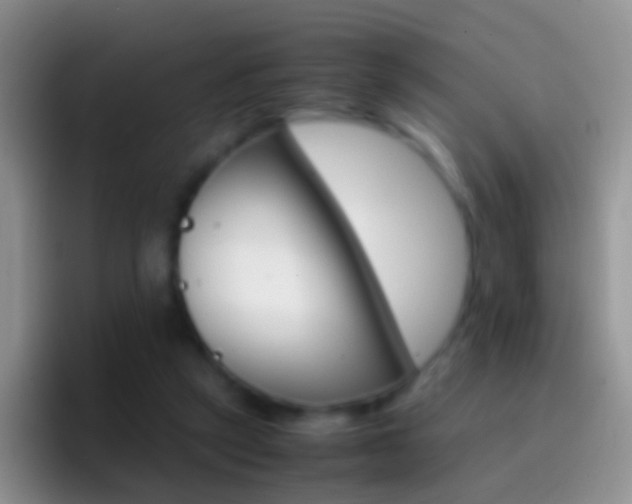 X0000097000257200802081034