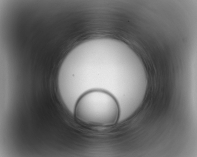 X0000097000264200802081034