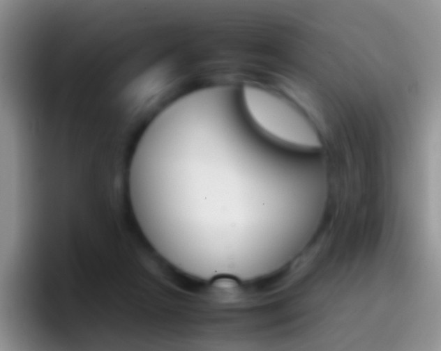 X0000097000265200802081034