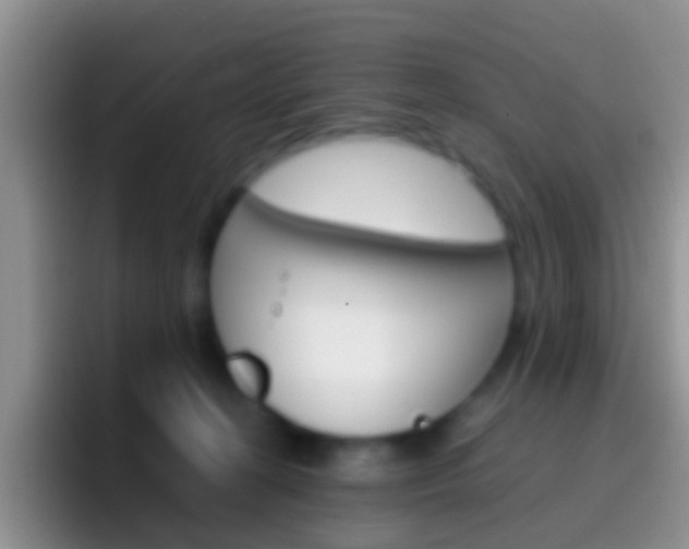 X0000097000274200802081034