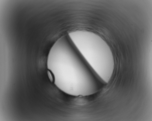 X0000097000280200802081034