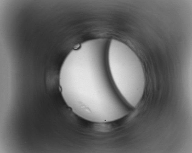 X0000097000281200802081034