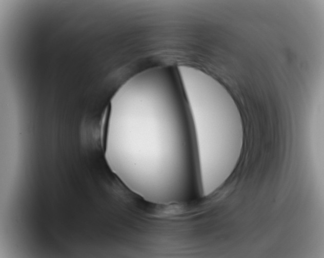 X0000097000288200802081034