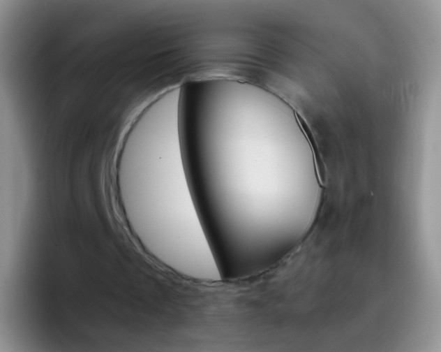X0000097000289200802081034