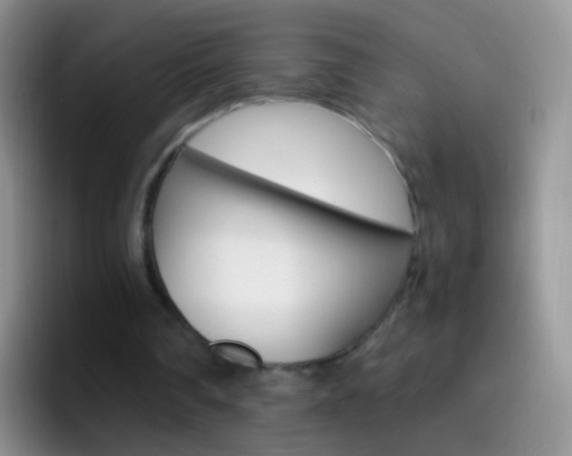 X0000097000290200802081034