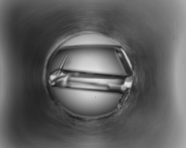 X0000097000292200802081034