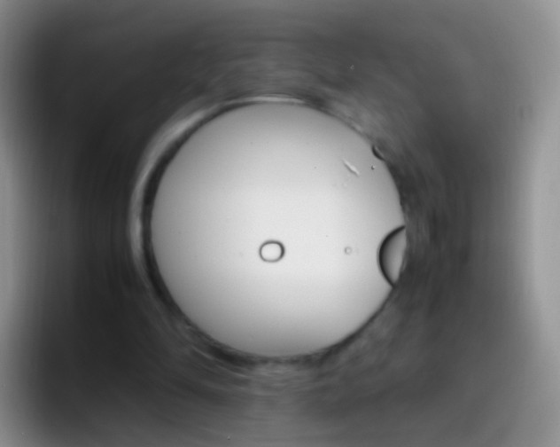 X0000097000294200802081033