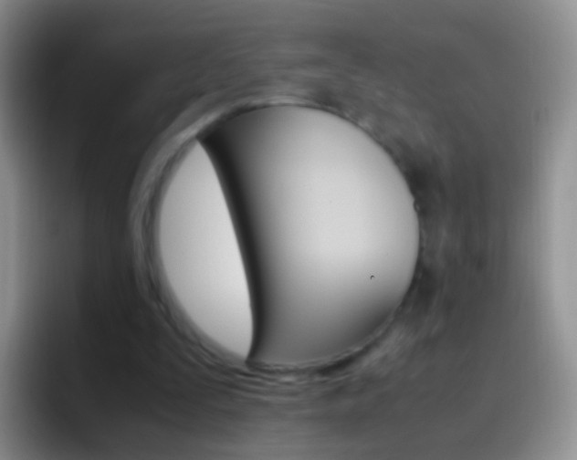X0000097000295200802081033
