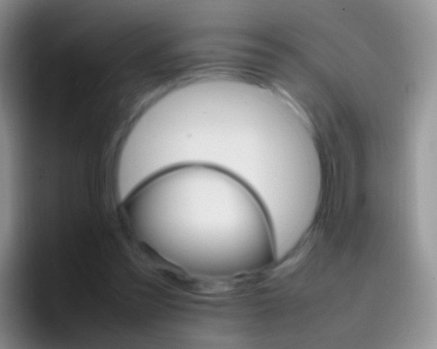 X0000097000301200802081033