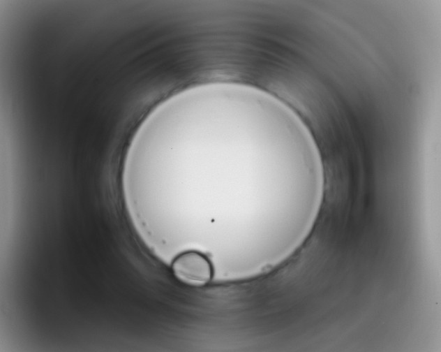 X0000097000302200802081033