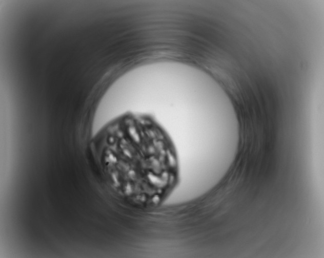 X0000097000304200802081033