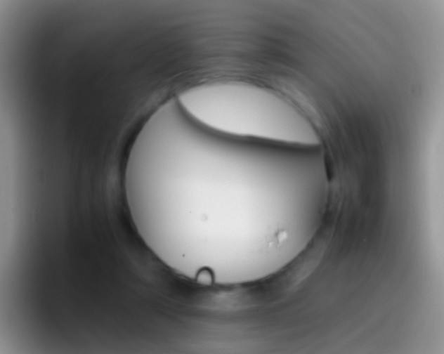X0000097000306200802081033