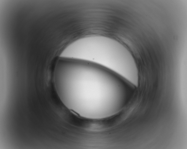 X0000097000308200802081033