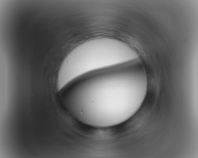 X0000097000317200802081033