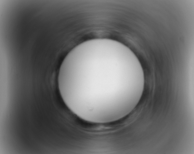 X0000097000319200802081033