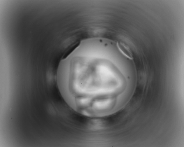 X0000097000324200802081033