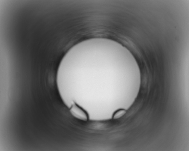 X0000097000326200802081033