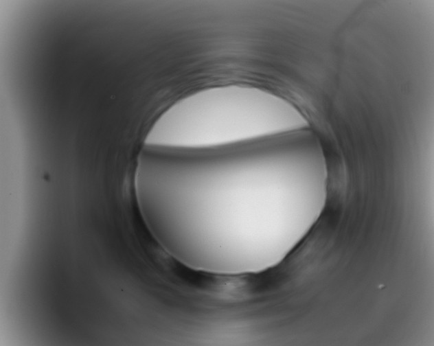X0000097000333200802081033