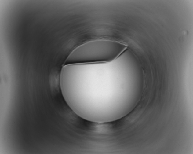 X0000097000336200802081033