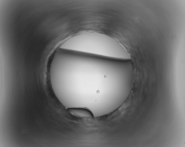 X0000097000338200802081032