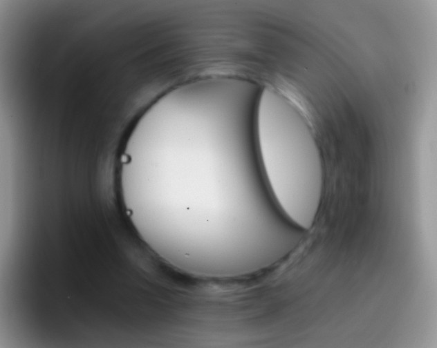 X0000097000346200802081032