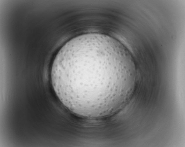 X0000097000347200802081032