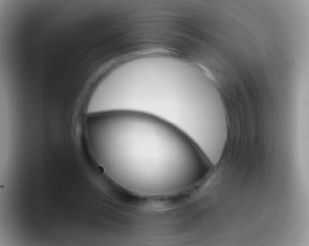 X0000097000350200802081032