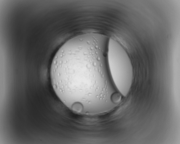 X0000097000351200802081033