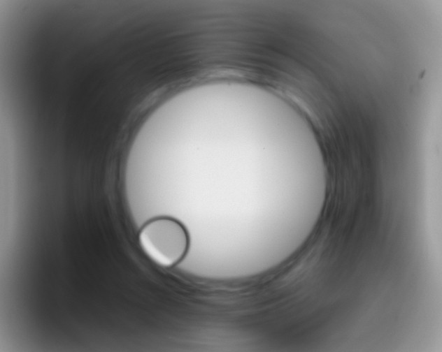 X0000097000352200802081033