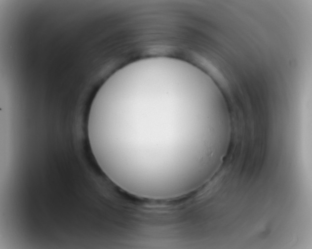 X0000097000354200802081033