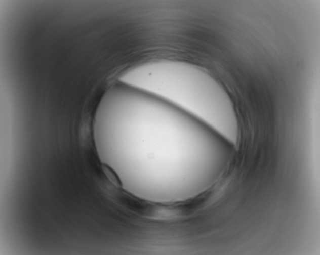 X0000097000360200802081033