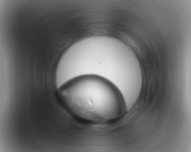 X0000097000362200802081033
