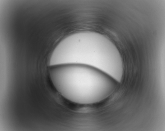 X0000097000364200802081033