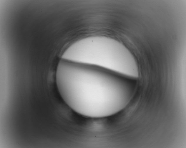 X0000097000368200802081033