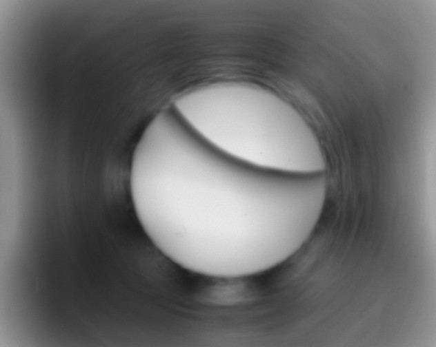 X0000097000369200802081033